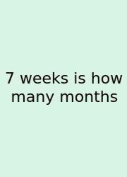 7 Weeks Is How Many Months