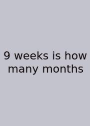 9 Weeks Is How Many Months