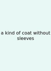 A Kind Of Coat Without Sleeves