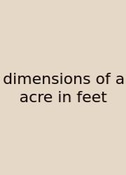 Dimensions Of A Acre In Feet