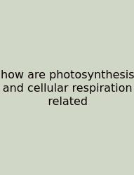 How Are Photosynthesis And Cellular Respiration Related