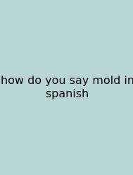 How Do You Say Mold In Spanish