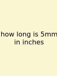 How Long Is 5mm In Inches