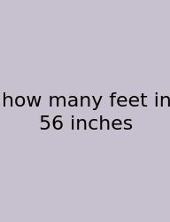 How Many Feet In 56 Inches