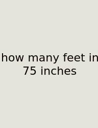 How Many Feet In 75 Inches