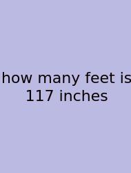 How Many Feet Is 117 Inches