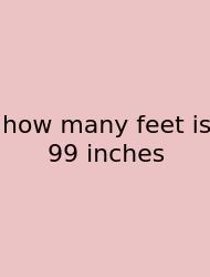 How Many Feet Is 99 Inches