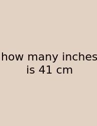 How Many Inches Is 41 Cm