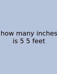 How Many Inches Is 5 5 Feet