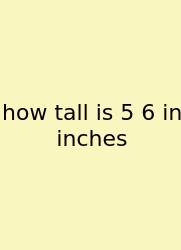 How Tall Is 5 6 In Inches