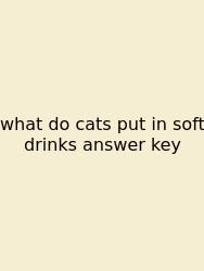 What Do Cats Put In Soft Drinks Answer Key