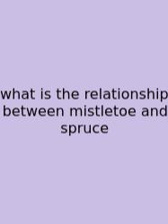 What Is The Relationship Between Mistletoe And Spruce